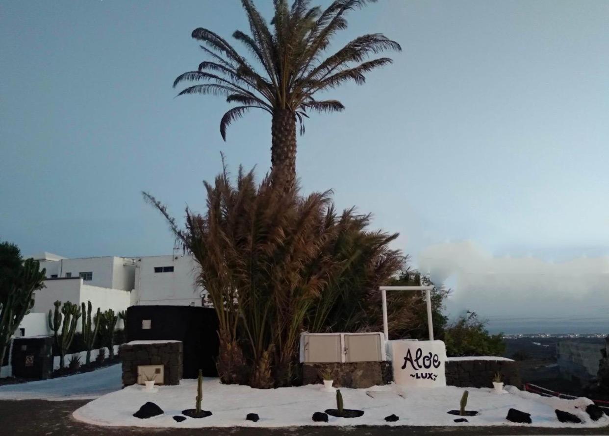 Aloelux Villa ! - Private Villa With Jacuzzi, Cinema ,Massage ,Wonderful View, Art Desing Villa Conil Buitenkant foto